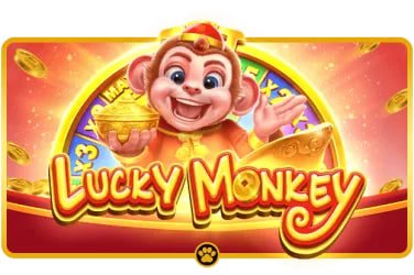 baazi casino
